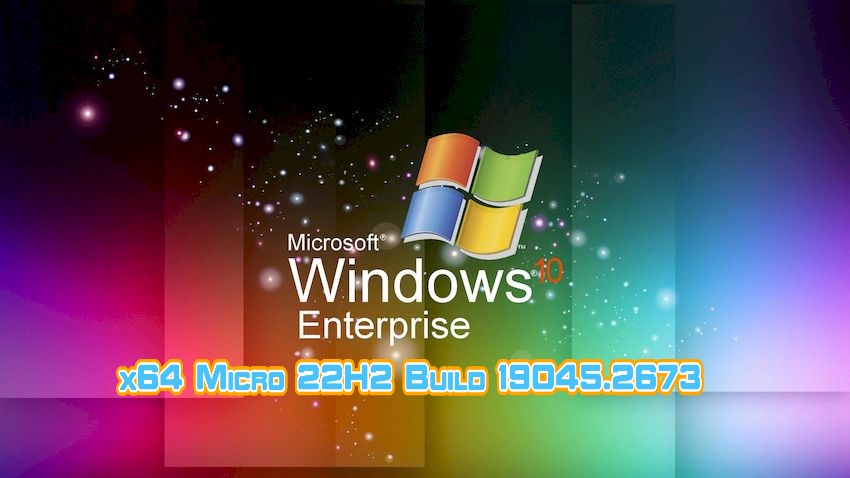 Windows 10 Enterprise x64 Micro 22H2 Build 19045.2673